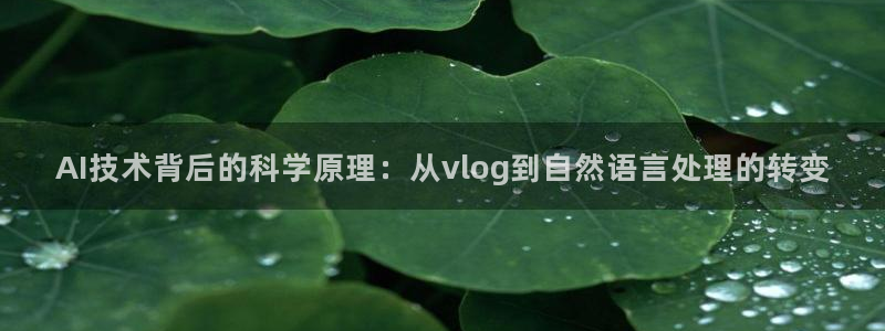 糖心vlgo产精国品免费网站：AI技术背后的科学原理：从vl