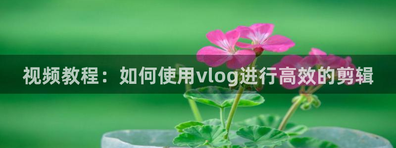 糖心,：视频教程：如何使用vlog进行高效的剪辑
