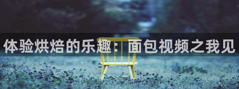 糖心官网版：体验烘焙的乐趣：面包视频之我见