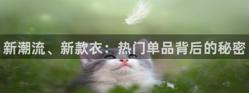 糖心velog：新潮流、新款衣：热门单品背后的秘密